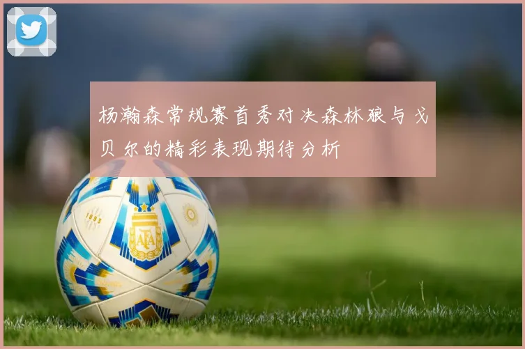 杨瀚森常规赛首秀对决森林狼与戈贝尔的精彩表现期待分析