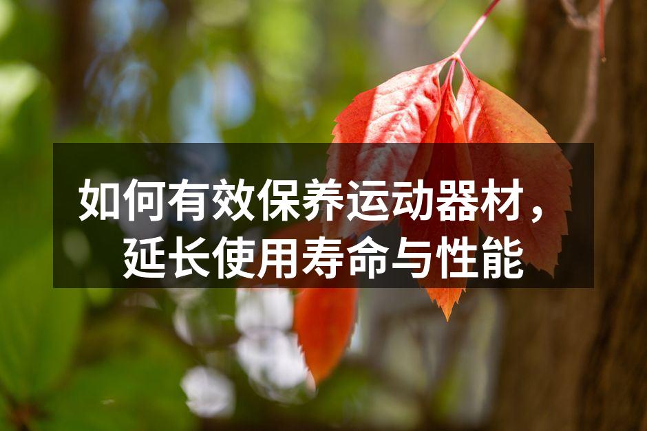 定期清洁运动器材