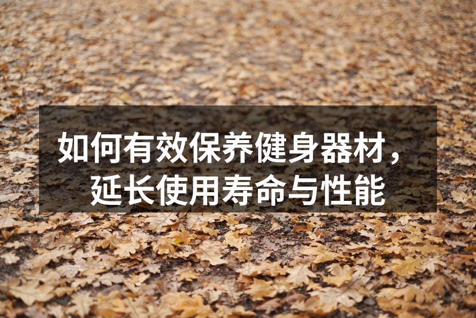 定期清洁健身器材,确保安全使用